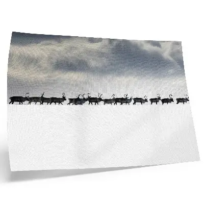 Poster reindeer in the snow with silence and space