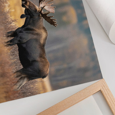 Decorative canvas print moose in an autumn landscape depicting wild nature
