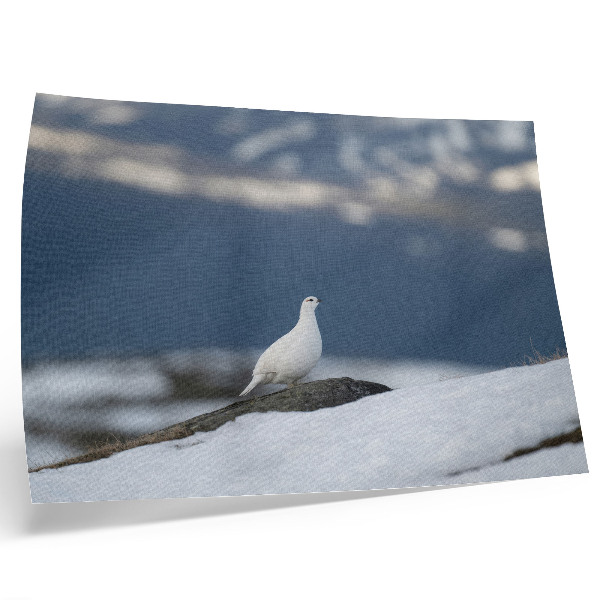 Decorative canvas print Bird in the snow winter landscape gentleness