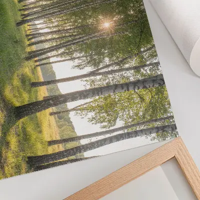 Decorative canvas print featuring a symmetrical birch forest with sun rays in green