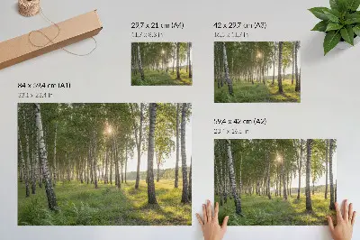 Decorative canvas print featuring a symmetrical birch forest with sun rays in green