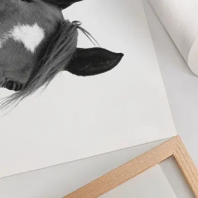 Horse Elegance Photography Poster black and white print