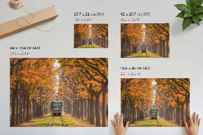 Photo canvas Autumn tunnel with a tram in the middle