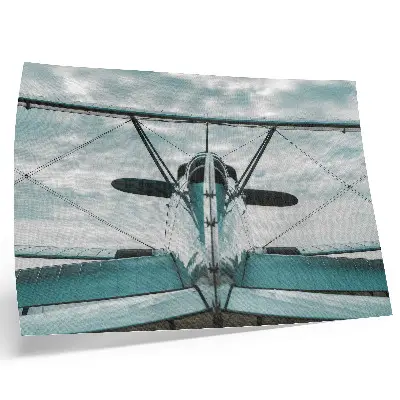 Biplane front view poster industrial elegance style