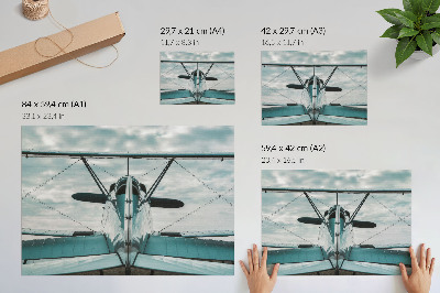 Poster Front view of a biplane, industrial elegance