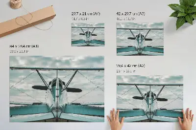 Biplane front view poster industrial elegance style
