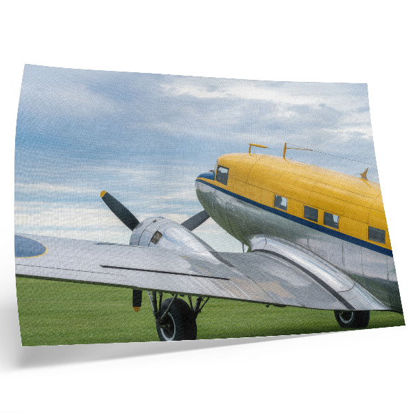 Decorative canvas print Stylish classic yellow, gray and blue plane