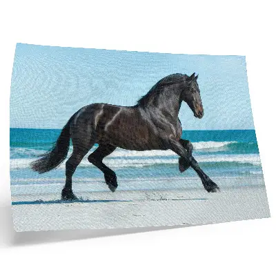 Poster horse galloping on the coast under a blue sky