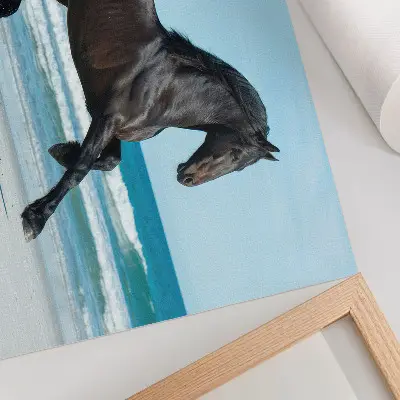 Poster horse galloping on the coast under a blue sky