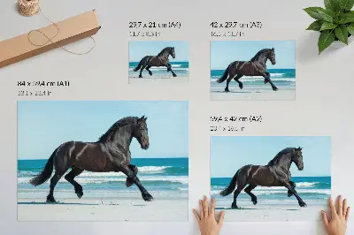 Poster horse galloping on the coast under a blue sky