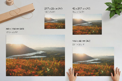 Poster Flowers, mountains, river, sunset, peaceful atmosphere