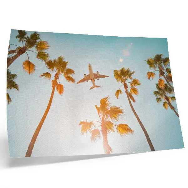 Poster airplane flying over tropical palm trees under a blue sky