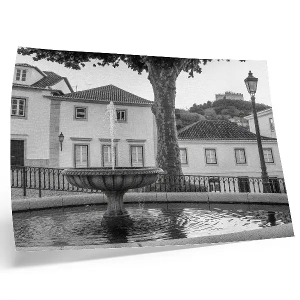 Photo canvas black and white fountain with classic castle buildings
