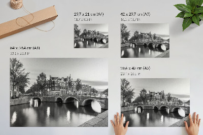 Decorative canvas print Elegant bridges, classic architecture, canals