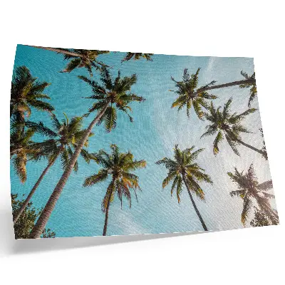 Poster palm trees against a blue background with a peaceful nature atmosphere