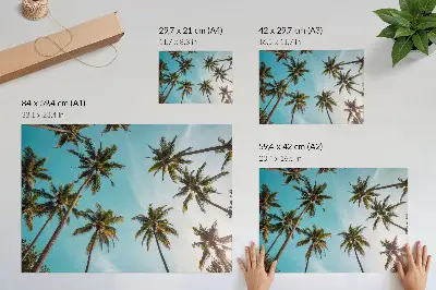 Poster palm trees against a blue background with a peaceful nature atmosphere