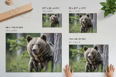 Photo canvas a bear in a forest with natural charm