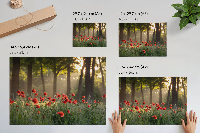 Photo canvas Red poppies green forest sun rays