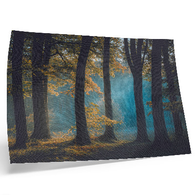 Poster Quiet forest, morning sun, colorful leaves