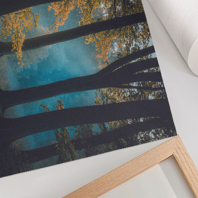 Poster Quiet forest, morning sun, colorful leaves