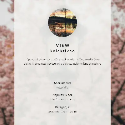 Decorative canvas print featuring an oriental building with mountains, a lake, and cherry blossoms