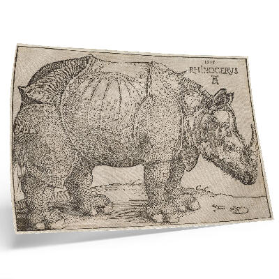 Poster Rhinoceros (1515) by Albrecht Dürer