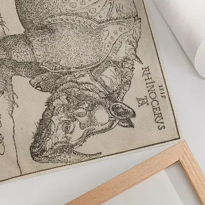 Rhinoceros (1515) by Albrecht Dürer art poster