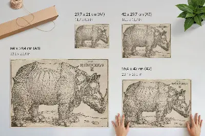Rhinoceros (1515) by Albrecht Dürer art poster