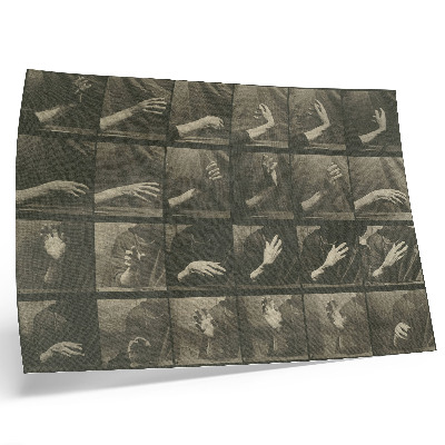 Decorative canvas print Animal Locomotion, Plate 535 (1887) by Eadweard Muybridge