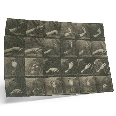 Animal Locomotion, Plate 535 (1887) by Eadweard Muybridge decorative canvas print
