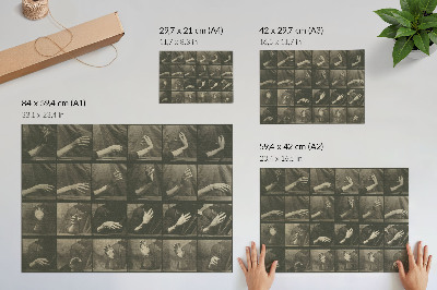Decorative canvas print Animal Locomotion, Plate 535 (1887) by Eadweard Muybridge