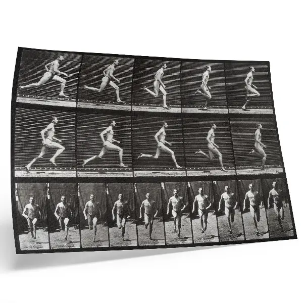 Photo canvas Plate 60 of Animal Locomotion (1887) by Eadweard Muybridge