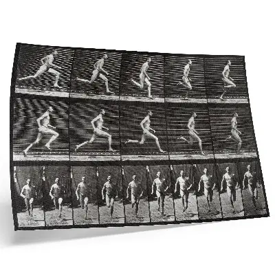 Photo canvas Plate 60 of Animal Locomotion (1887) by Eadweard Muybridge