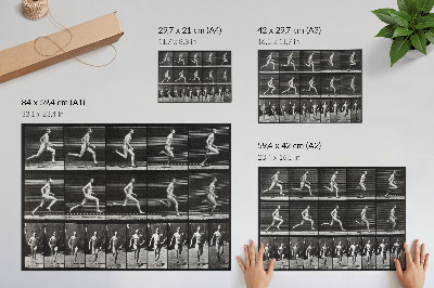 Photo canvas Plate 60 of Animal Locomotion (1887) photographed by Eadweard Muybridge