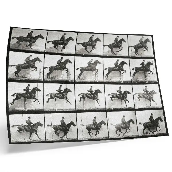 Animal Locomotion Plate 640 canvas print Eadweard Muybridge 1887 horseback riding photography