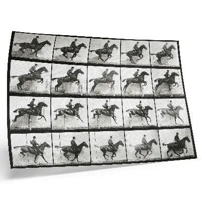 Animal Locomotion Plate 640 canvas print Eadweard Muybridge 1887 horseback riding photography