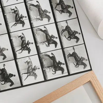 Animal Locomotion Plate 640 canvas print Eadweard Muybridge 1887 horseback riding photography