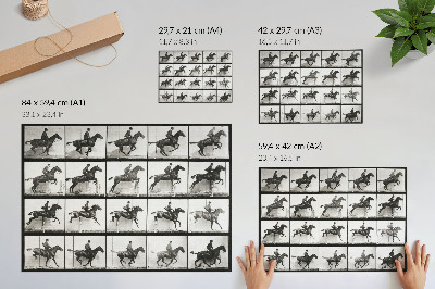 Decorative canvas print Animal Locomotion Plate 640 (1887), horseback riding photographed by Eadweard Muybridge