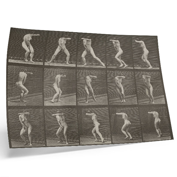 Poster Plate number 73. Turning in surprise and fleeing (1887) by Eadweard Muybridge