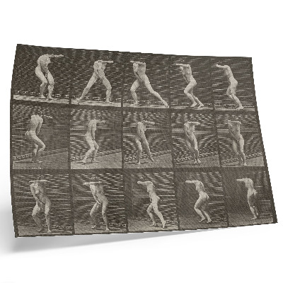 Poster Plate number 73. Turning in surprise and fleeing (1887) by Eadweard Muybridge