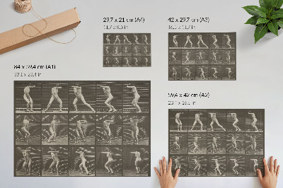 Poster Plate number 73. Turning in surprise and fleeing (1887) by Eadweard Muybridge