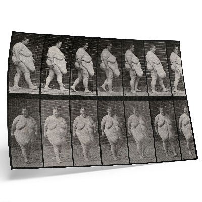 Poster Obese woman walking. Phototype after Eadweard Muybridge, 1887