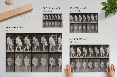 Poster Obese woman walking. Phototype after Eadweard Muybridge, 1887