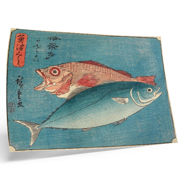 Photo canvas Yellowtail and sea bass