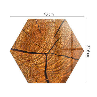 Glass hearth pad hexagonal Wood in cross-section with natural grain