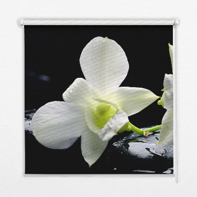Modern roller blind Orchids and elegance
