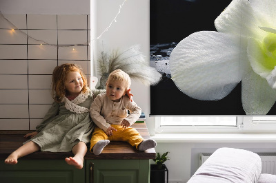 Modern roller blind Orchids and elegance