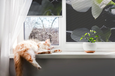 Modern roller blind Orchids and elegance