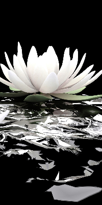 Roller blind for large window Water lilies on the surface