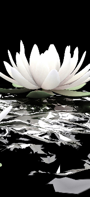 Roller blind for large window Water lilies on the surface